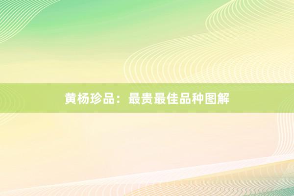 黄杨珍品：最贵最佳品种图解